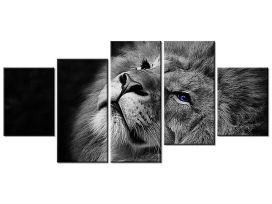Obraz Srebrny lew z niebieskimi oczyma, 5 elementów, 150x70 cm Oobrazy