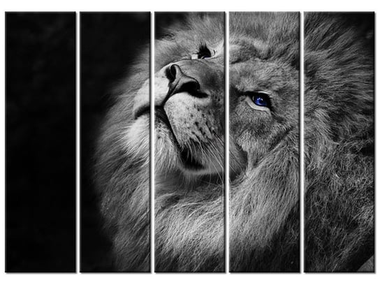 Obraz Srebrny lew z niebieskimi oczyma, 5 elementów, 225x160 cm Oobrazy