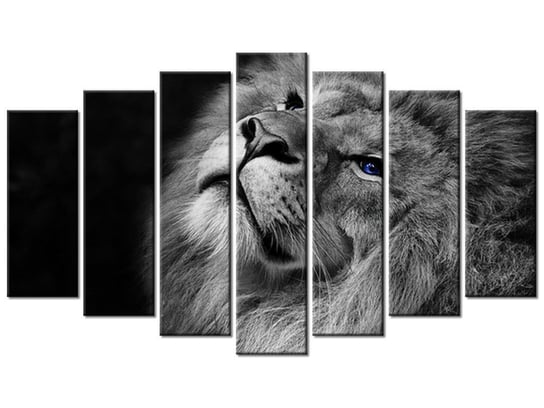 Obraz Srebrny lew z niebieskimi oczyma, 7 elementów, 140x80 cm Oobrazy