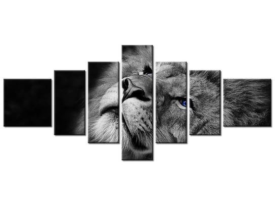 Obraz Srebrny lew z niebieskimi oczyma, 7 elementów, 160x70 cm Oobrazy
