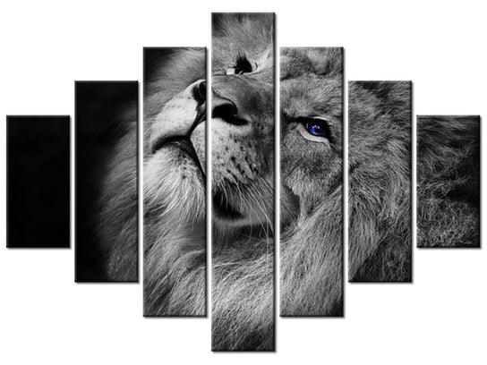 Obraz Srebrny lew z niebieskimi oczyma, 7 elementów, 210x150 cm Oobrazy