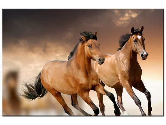 Obraz Stado koni, 30x20 cm Oobrazy