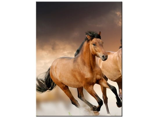 Obraz Stado koni, 30x40 cm Oobrazy