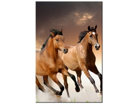 Obraz Stado koni, 40x60 cm Oobrazy