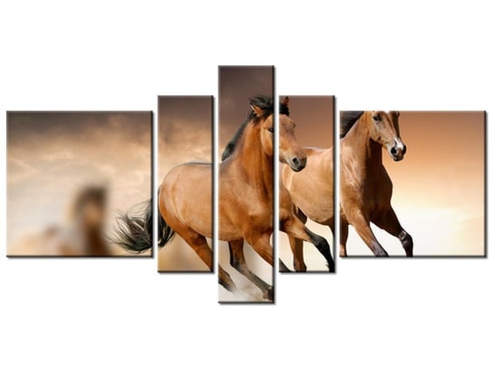 Obraz Stado koni, 5 elementów, 160x80 cm Oobrazy