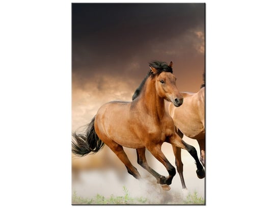 Obraz Stado koni, 80x120 cm Oobrazy