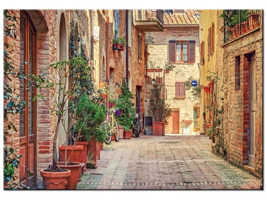 Obraz, Stara alejka w Toskanii, 100x70 cm Oobrazy