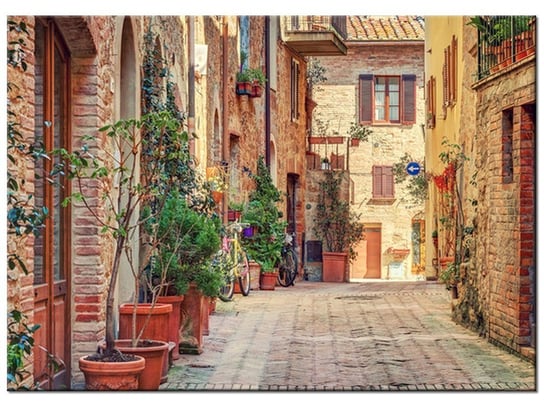 Obraz, Stara alejka w Toskanii, 70x50 cm Oobrazy