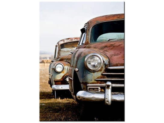 Obraz Stare samochody, 50x70 cm Oobrazy