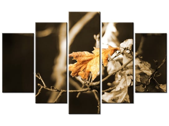 Obraz Suschy liść, 5 elementów, 100x63 cm Oobrazy