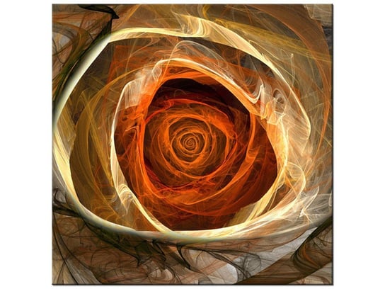 Obraz Świetlista róża, 50x50 cm Oobrazy