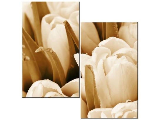 Obraz Świeże tulipany, 2 elementy, 60x60 cm Oobrazy