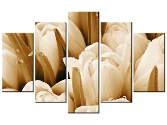 Obraz Świeże tulipany, 5 elementów, 100x63 cm Oobrazy