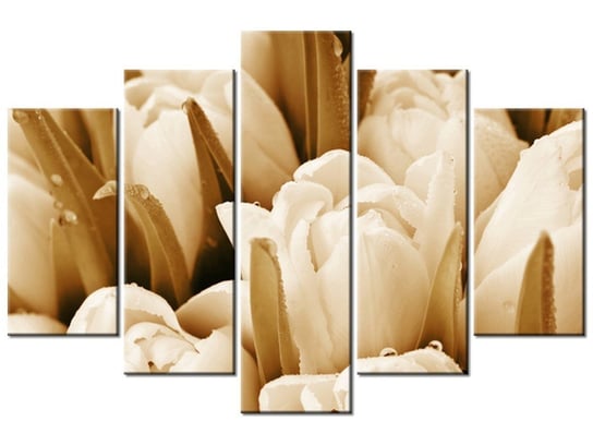 Obraz Świeże tulipany, 5 elementów, 150x100 cm Oobrazy