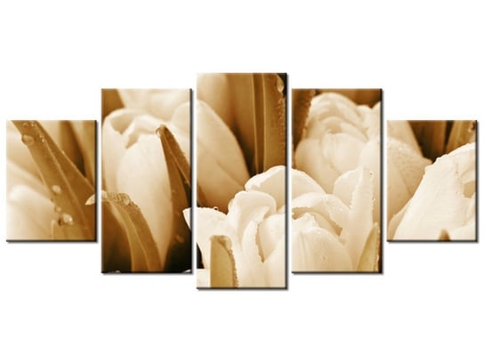 Obraz Świeże tulipany, 5 elementów, 150x70 cm Oobrazy