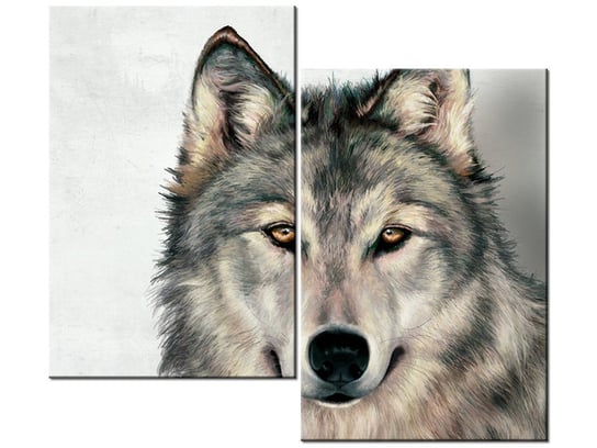 Obraz Szary wilk, 2 elementy, 80x70 cm Oobrazy