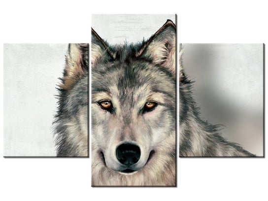 Obraz Szary wilk, 3 elementy, 90x60 cm Oobrazy