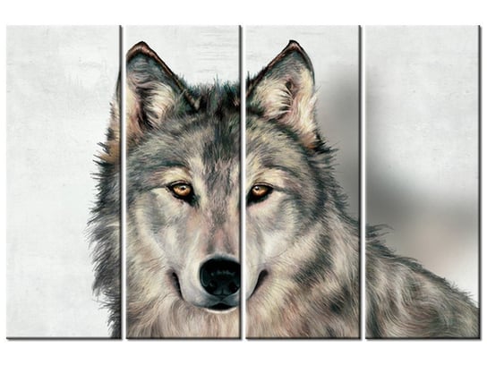 Obraz Szary wilk, 4 elementy, 120x80 cm Oobrazy
