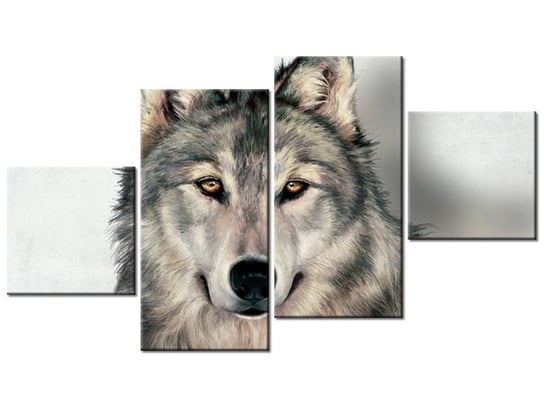 Obraz Szary wilk, 4 elementy, 160x90 cm Oobrazy
