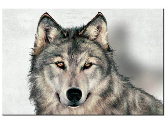 Obraz Szary wilk, 90x60 cm Oobrazy