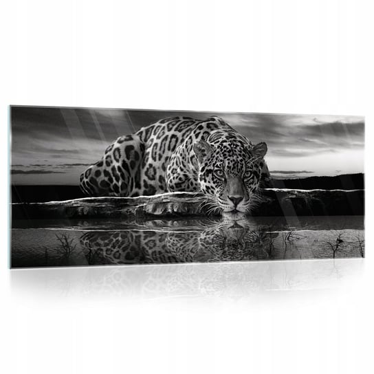 Obraz Szklany Na Szkle Do Kuchni Łazienki Sypialni Salonu Na Ścianę Duży Nowoczesne Obrazy Zwierzęta Tygrys Jaguar Gepard 125X50 Consalnet