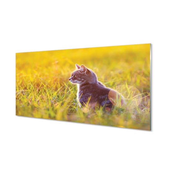 Obraz szklany TULUP grafika Polujący kot, 100x50 cm Tulup