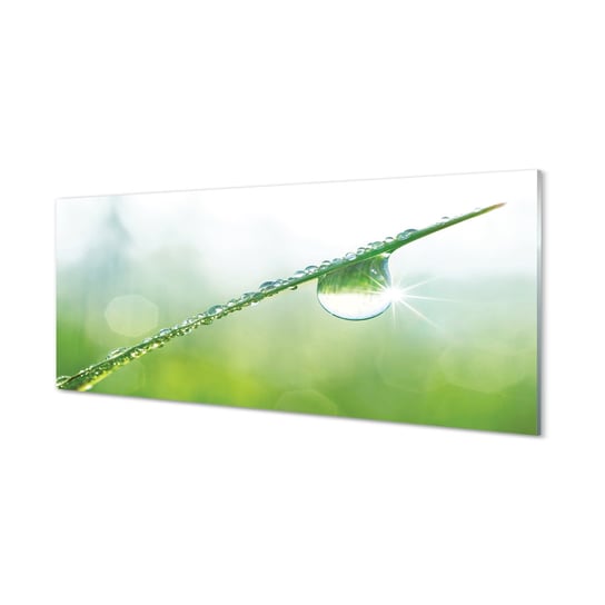 Obraz szklany TULUP Kropla trawa makro, 125x50 cm Tulup