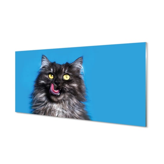 Obraz szklany TULUP Oblizujący się kot, 100x50 cm Tulup