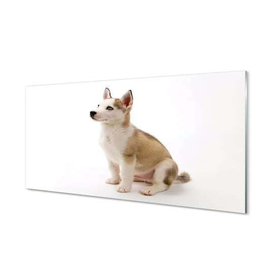 Obraz szklany TULUP Siedzący mały pies, 100x50 cm Tulup