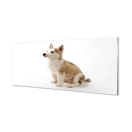 Obraz szklany TULUP Siedzący mały pies, 125x50 cm Tulup