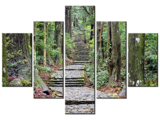 Obraz Szlak na Wakayama w Japonii, 5 elementów, 100x70 cm Oobrazy