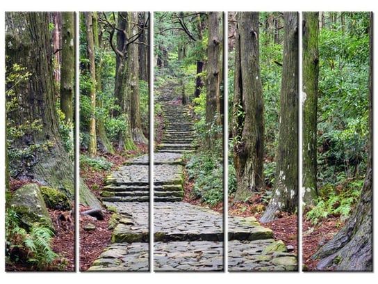 Obraz Szlak na Wakayama w Japonii, 5 elementów, 225x160 cm Oobrazy