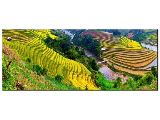 Obraz, Tarasowe pola ryżowe, 100x40 cm Oobrazy
