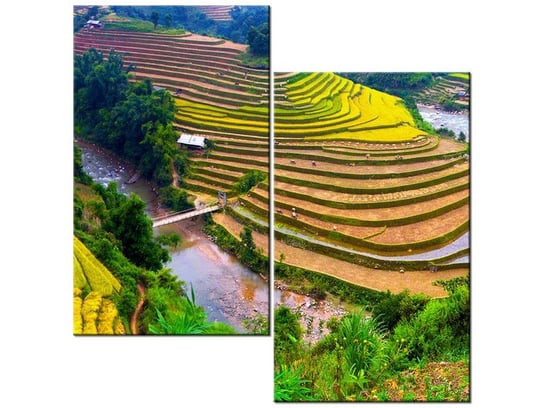 Obraz Tarasowe pola ryżowe, 2 elementy, 60x60 cm Oobrazy