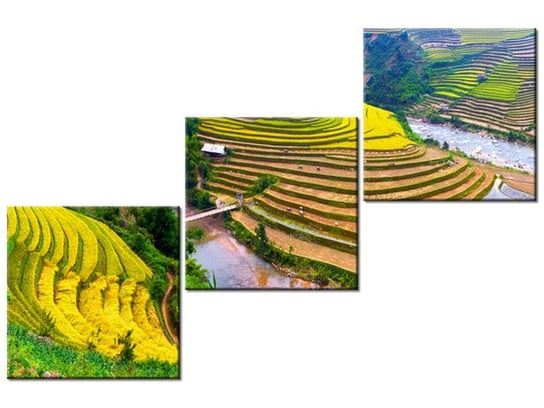 Obraz Tarasowe pola ryżowe, 3 elementy, 120x80 cm Oobrazy