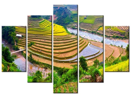 Obraz Tarasowe pola ryżowe, 5 elementów, 150x105 cm Oobrazy