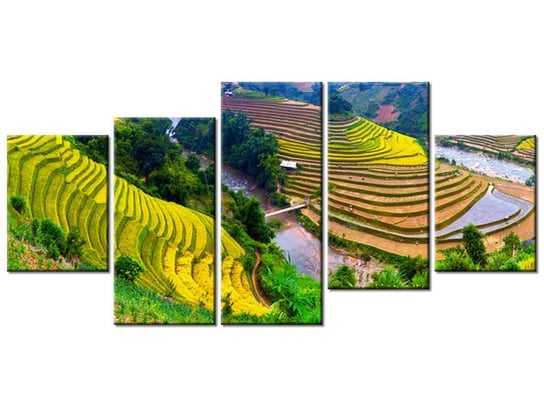 Obraz Tarasowe pola ryżowe, 5 elementów, 150x70 cm Oobrazy