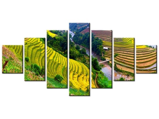 Obraz Tarasowe pola ryżowe, 7 elementów, 210x100 cm Oobrazy