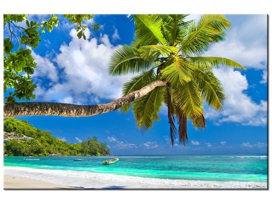 Obraz, Tropikalna sceneria - Seszele, 60x40 cm Oobrazy