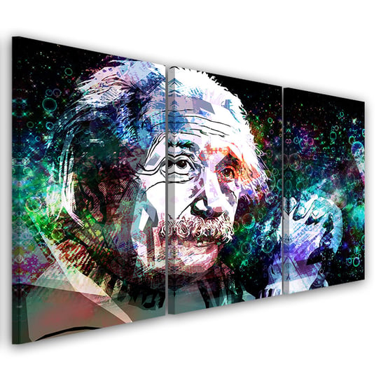 Obraz tryptyk na płótnie trzyczęściowy FEEBY, Albert Einstein 120x60 Feeby