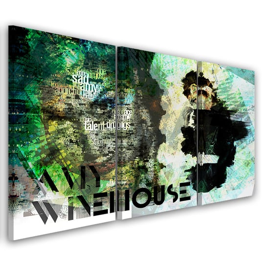 Obraz tryptyk na płótnie trzyczęściowy FEEBY, Amy Winehouse Piosenkarka 120x80 Feeby