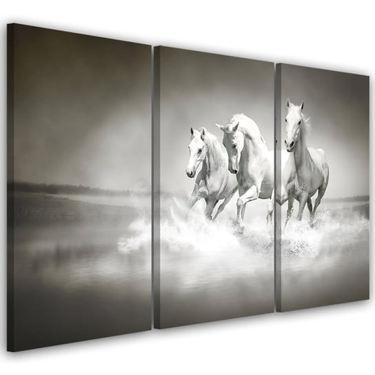 Obraz tryptyk na płótnie trzyczęściowy FEEBY, Białe Konie Galop 60x40 Feeby