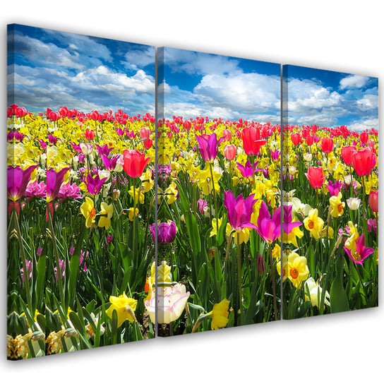 Obraz tryptyk na płótnie trzyczęściowy FEEBY, Kolorowe Tulipany Kwiaty  60x30 Feeby