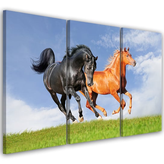 Obraz tryptyk na płótnie trzyczęściowy FEEBY, Konie w Galopie 60x40 Feeby