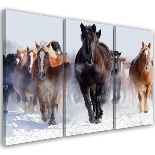 Obraz tryptyk na płótnie trzyczęściowy FEEBY, Konie w Galopie Zima 120x80 Feeby
