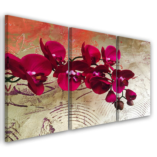 Obraz tryptyk na płótnie trzyczęściowy FEEBY, Orchidea Kwiaty różowy 60x40 Feeby