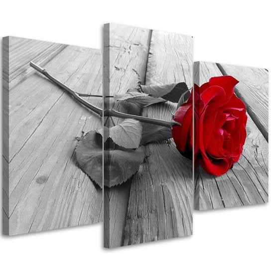 Obraz tryptyk na płótnie trzyczęściowy FEEBY, Róża na Pomoście 120x80 Feeby