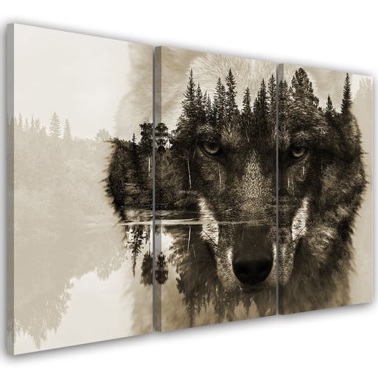 Obraz tryptyk na płótnie trzyczęściowy FEEBY, Wilk Zwierzęta Czarno Biały 120x80 Feeby