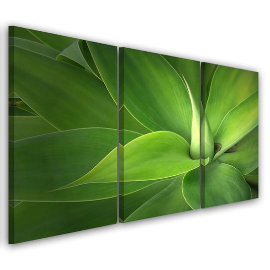 Obraz tryptyk na płótnie trzyczęściowy FEEBY, Zielone Liście Rośliny 60x30 Feeby