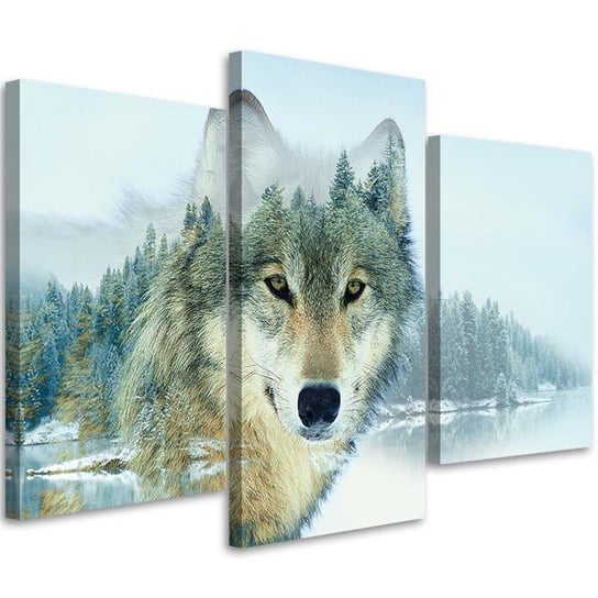 Obraz tryptyk na płótnie trzyczęściowy FEEBY, Zwierzęta Natura Wilk Góry 120x80 Feeby